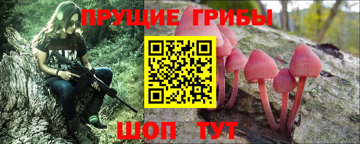 Нижний Новгород  Псилоцибиновые грибы прущие грибы  Галлюциногенные грибы GOLDEN TEACHER  Вход с VPN 